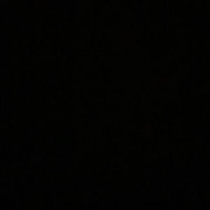 Meet your Posher, Princess